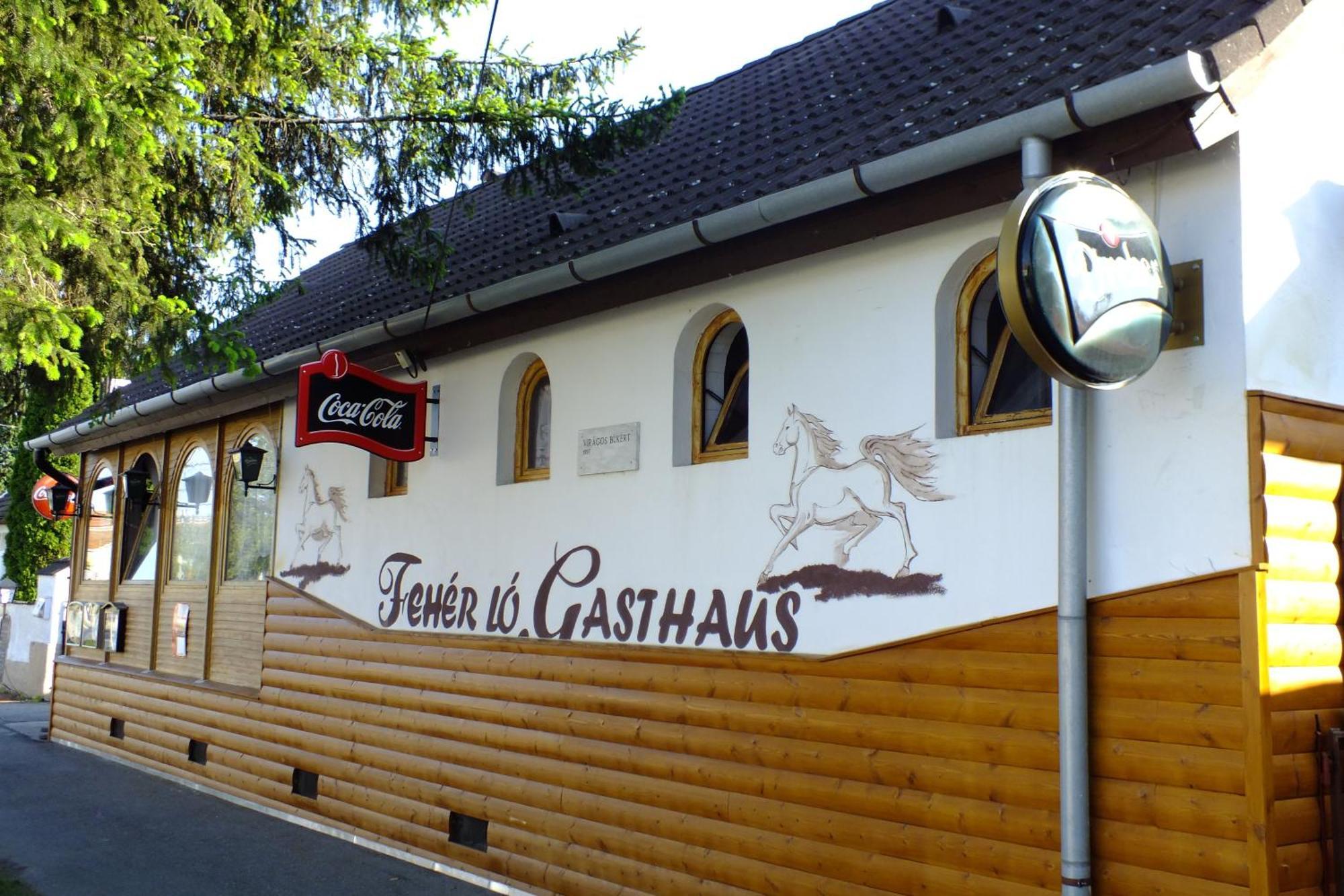 Feherlo Vendeghaz & Restaurant Bük Buitenkant foto